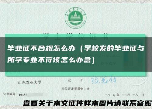 畢業證不合規怎么辦（學校發的畢業證與所學專業不符該怎么辦急）縮略圖