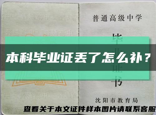 本科畢業證丟了怎么補？縮略圖