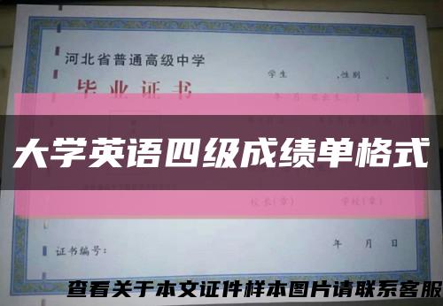 大學英語四級成績單格式縮略圖