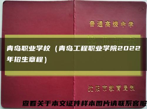青島職業學校（青島工程職業學院2022年招生章程）縮略圖