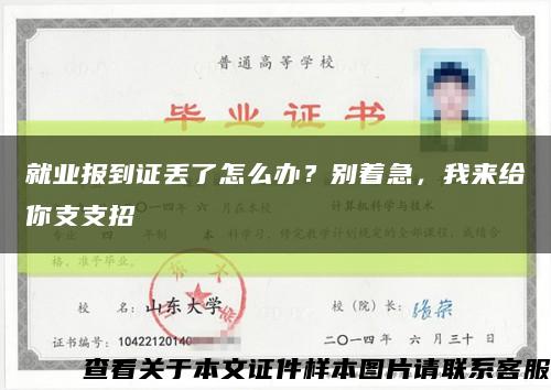 就業報到證丟了怎么辦？別著急，我來給你支支招縮略圖