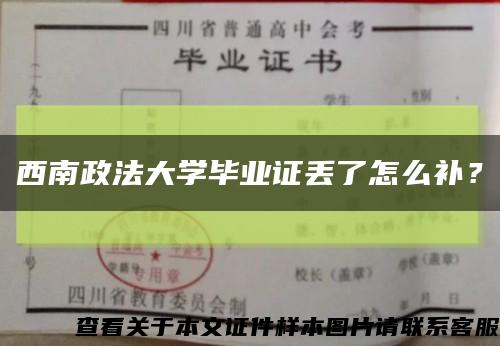 西南政法大學畢業證丟了怎么補？縮略圖