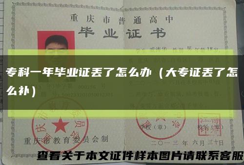 ?？埔荒戤厴I證丟了怎么辦（大專證丟了怎么補）縮略圖