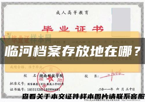 臨河檔案存放地在哪？縮略圖