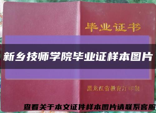 新鄉技師學院畢業證樣本圖片縮略圖