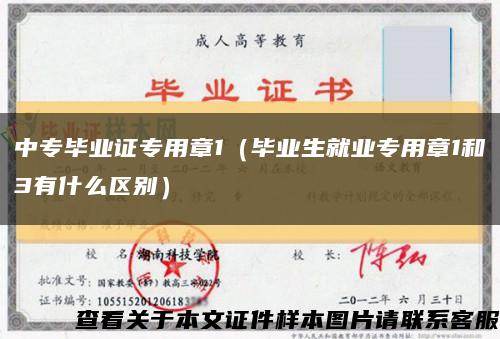 中專畢業證專用章1（畢業生就業專用章1和3有什么區別）縮略圖