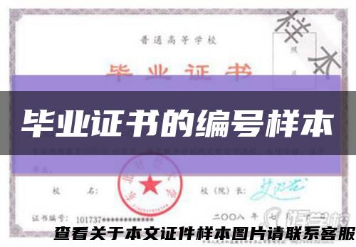 畢業證書的編號樣本縮略圖