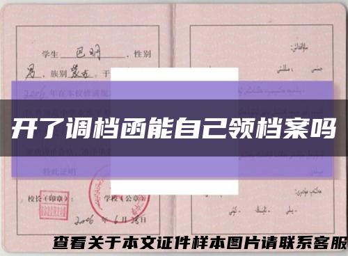 開了調檔函能自己領檔案嗎縮略圖