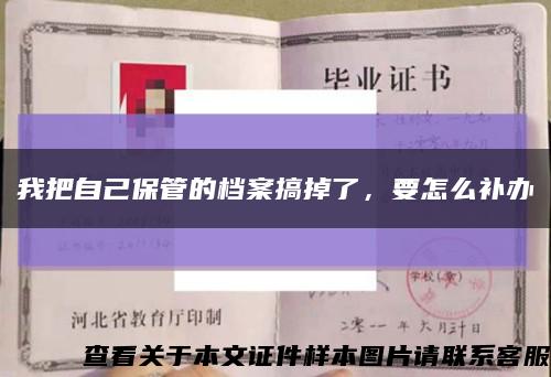 我把自己保管的檔案搞掉了，要怎么補辦縮略圖