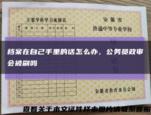 檔案在自己手里的話怎么辦，公務員政審會被刷嗎縮略圖