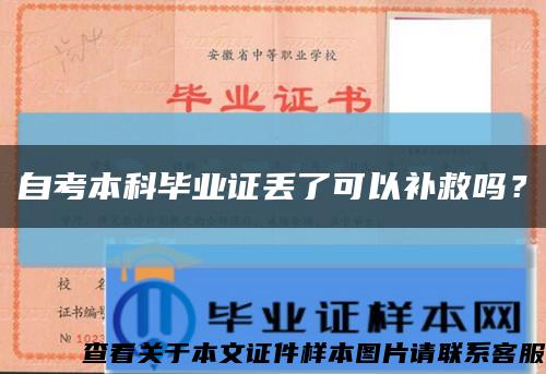 自考本科畢業證丟了可以補救嗎？縮略圖