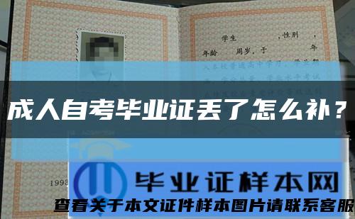 成人自考畢業證丟了怎么補？縮略圖