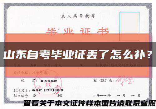 山東自考畢業證丟了怎么補？縮略圖