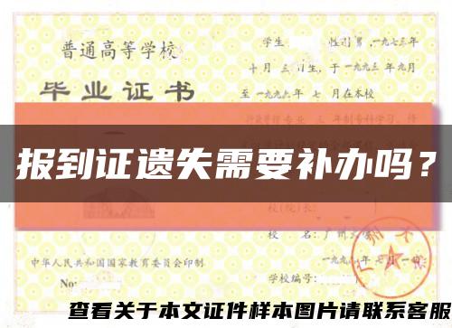 報到證遺失需要補辦嗎？縮略圖