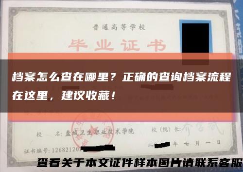 檔案怎么查在哪里？正確的查詢檔案流程在這里，建議收藏！縮略圖