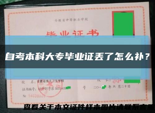 自考本科大專畢業證丟了怎么補？縮略圖