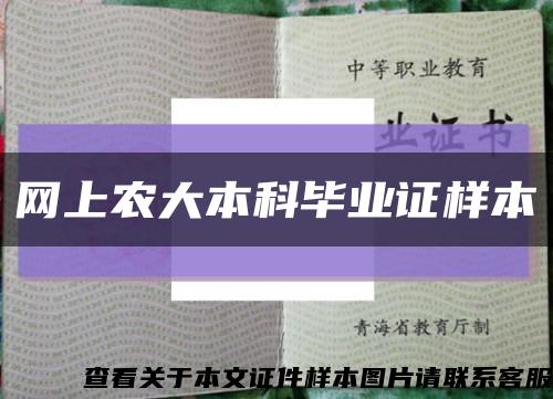 網上農大本科畢業證樣本縮略圖