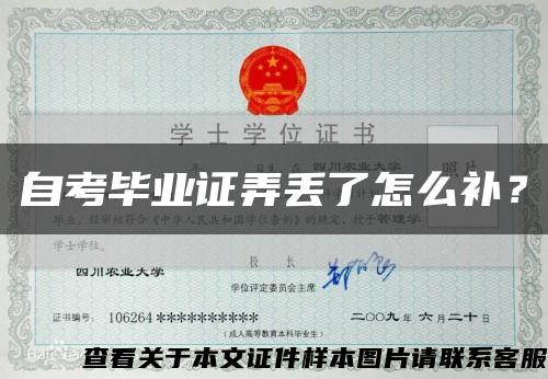 自考畢業證弄丟了怎么補？縮略圖