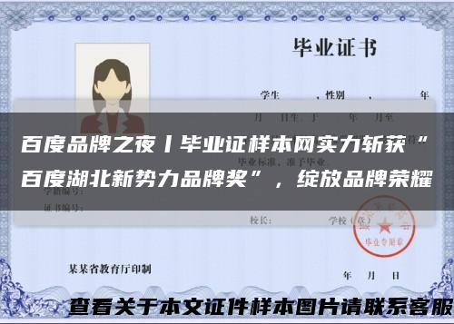 百度品牌之夜丨畢業證樣本網實力斬獲“百度湖北新勢力品牌獎”，綻放品牌榮耀縮略圖