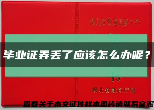 畢業證弄丟了應該怎么辦呢？縮略圖