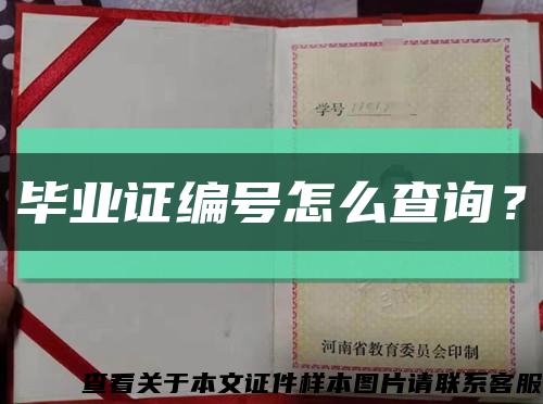 畢業證編號怎么查詢？縮略圖