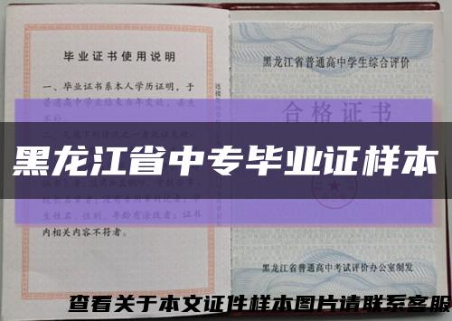 黑龍江省中專畢業證樣本縮略圖