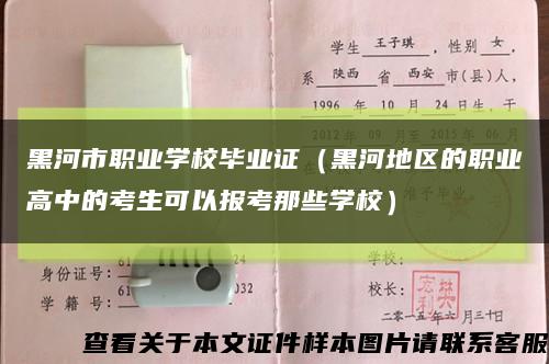 黑河市職業學校畢業證（黑河地區的職業高中的考生可以報考那些學校）縮略圖