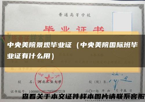 中央美院景觀畢業證（中央美院國際班畢業證有什么用）縮略圖