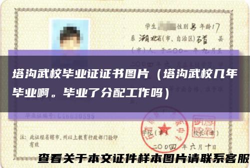 塔溝武校畢業證證書圖片（塔溝武校幾年畢業啊。畢業了分配工作嗎）縮略圖