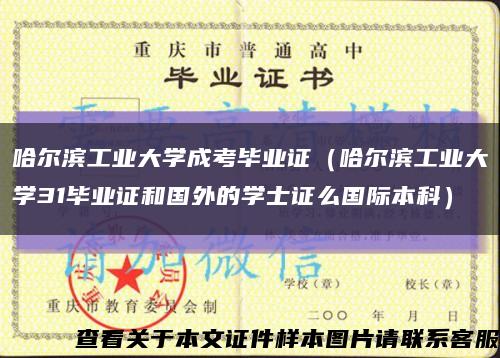 哈爾濱工業大學成考畢業證（哈爾濱工業大學31畢業證和國外的學士證么國際本科）縮略圖
