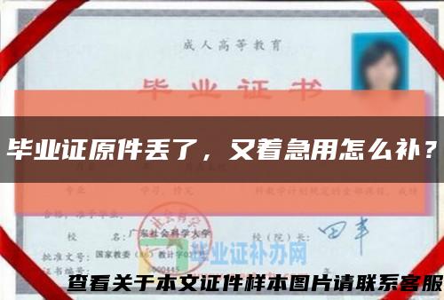 畢業證原件丟了，又著急用怎么補？縮略圖