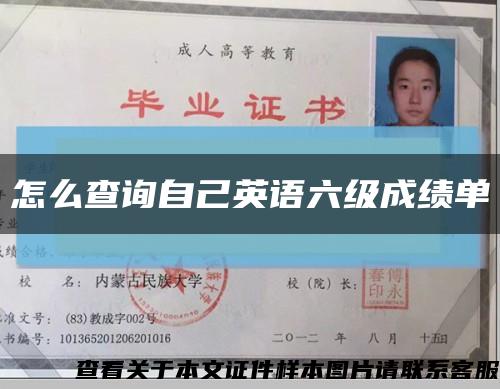 怎么查詢自己英語六級成績單縮略圖