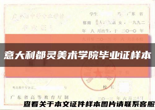 意大利都靈美術學院畢業證樣本縮略圖