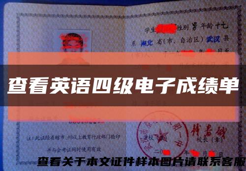 查看英語四級電子成績單縮略圖
