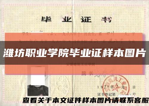濰坊職業學院畢業證樣本圖片縮略圖