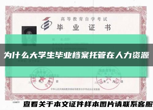 為什么大學生畢業檔案托管在人力資源縮略圖