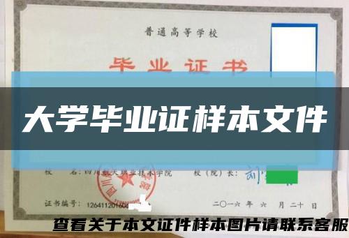 大學畢業證樣本文件縮略圖