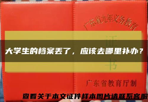 大學生的檔案丟了，應該去哪里補辦？縮略圖