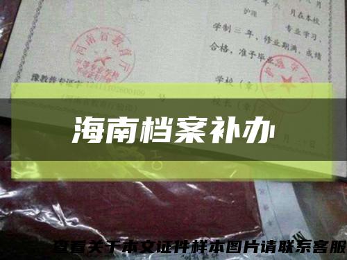 海南檔案補辦縮略圖