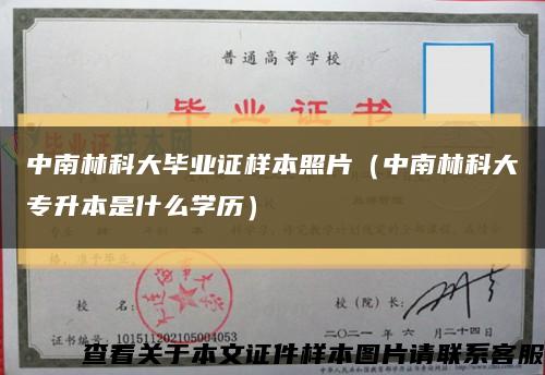 中南林科大畢業證樣本照片（中南林科大專升本是什么學歷）縮略圖