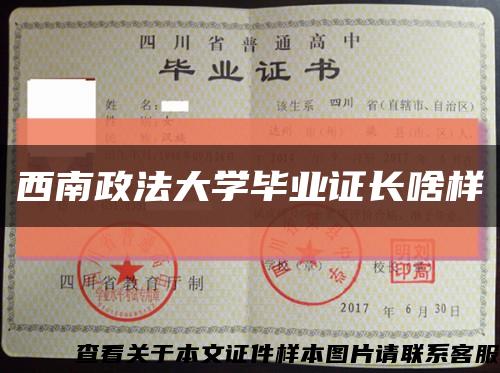 西南政法大學畢業證長啥樣縮略圖