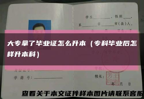 大專拿了畢業證怎么升本（?？飘厴I后怎樣升本科）縮略圖