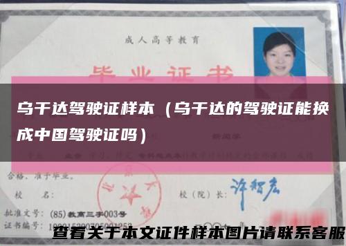烏干達駕駛證樣本（烏干達的駕駛證能換成中國駕駛證嗎）縮略圖