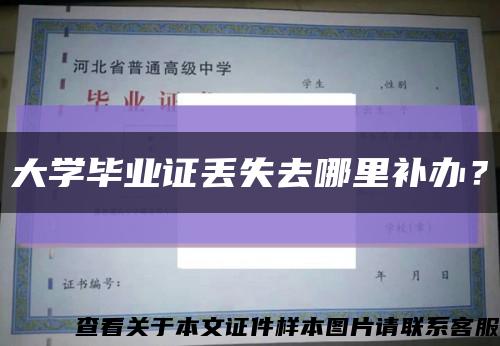 大學畢業證丟失去哪里補辦？縮略圖
