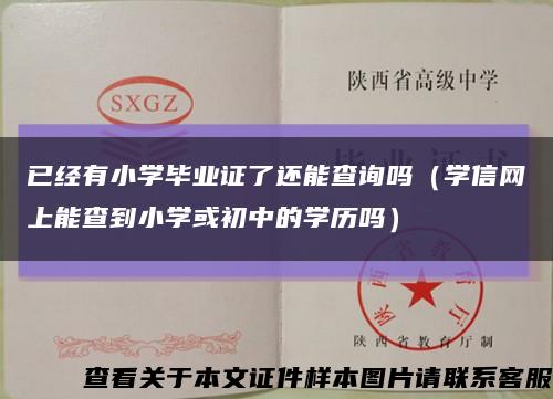 已經有小學畢業證了還能查詢嗎（學信網上能查到小學或初中的學歷嗎）縮略圖