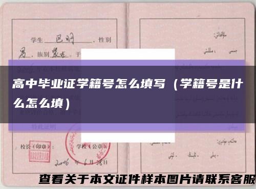 高中畢業證學籍號怎么填寫（學籍號是什么怎么填）縮略圖