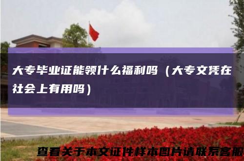 大專畢業證能領什么福利嗎（大專文憑在社會上有用嗎）縮略圖