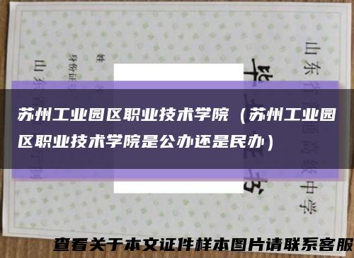 蘇州工業園區職業技術學院（蘇州工業園區職業技術學院是公辦還是民辦）縮略圖