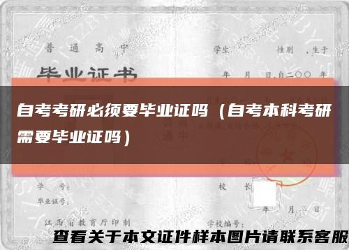 自考考研必須要畢業證嗎（自考本科考研需要畢業證嗎）縮略圖