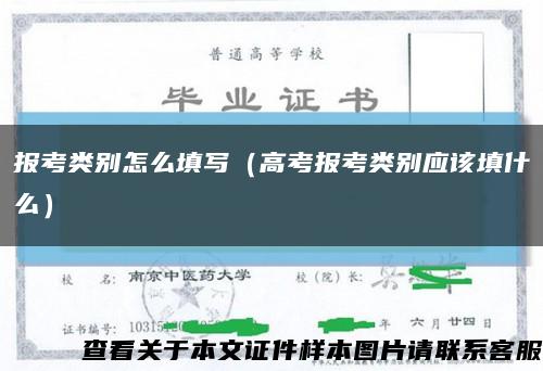 報考類別怎么填寫（高考報考類別應該填什么）縮略圖